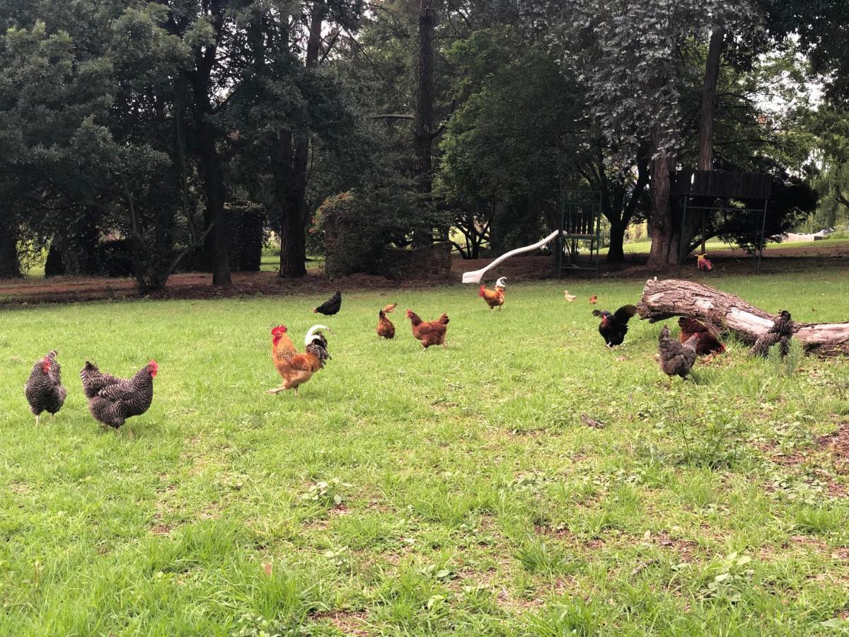 Tegwaan Country Getaway Villa Waterval Boven Eksteriør bilde