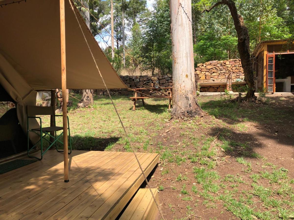 Tegwaan Country Getaway Villa Waterval Boven Eksteriør bilde
